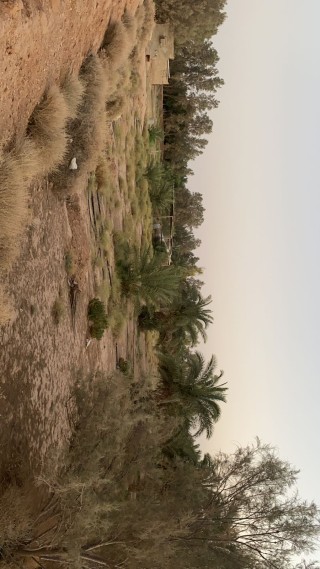 ارض زراعيه للبيع حريملاء